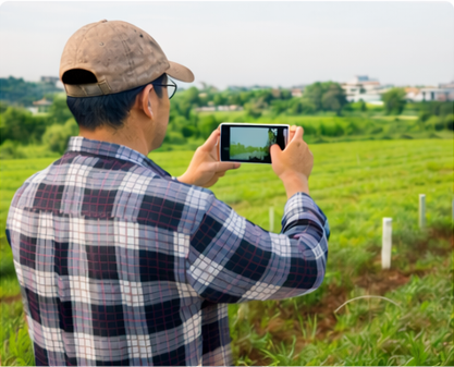 Person taking pictures of a plot