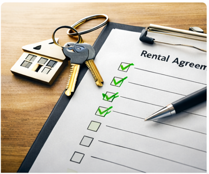 Person taking pictures of a plot